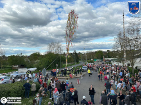 Maibaum.jpg